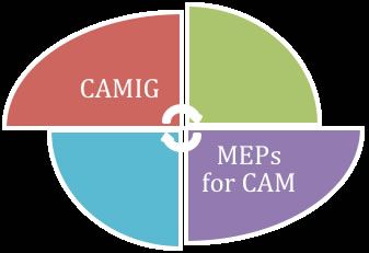 CAMIG Logo